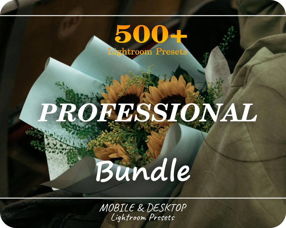 VIP 500 Lightroom presets bundle — preview grid