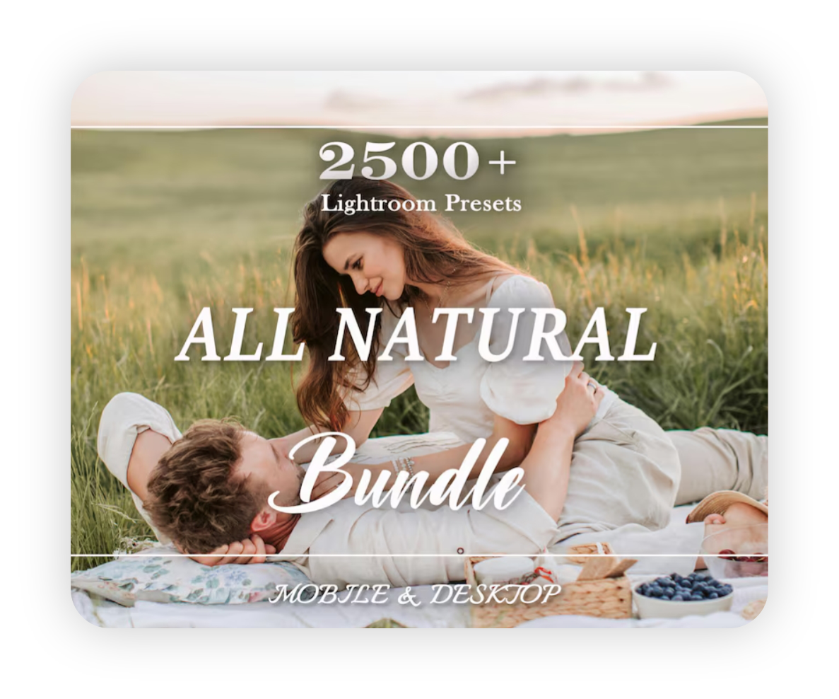 Bundle preview — 2500 Lightroom presets styles grid